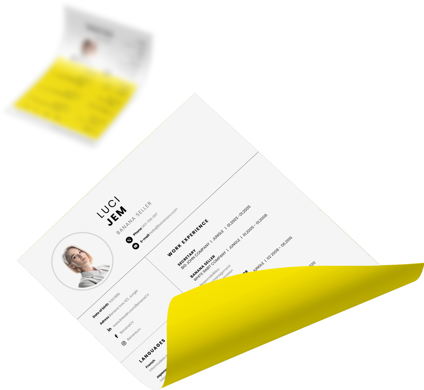 TEXT
